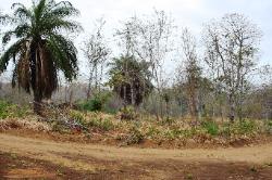 Lot 15