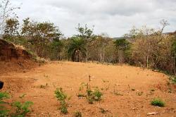 Lot 9